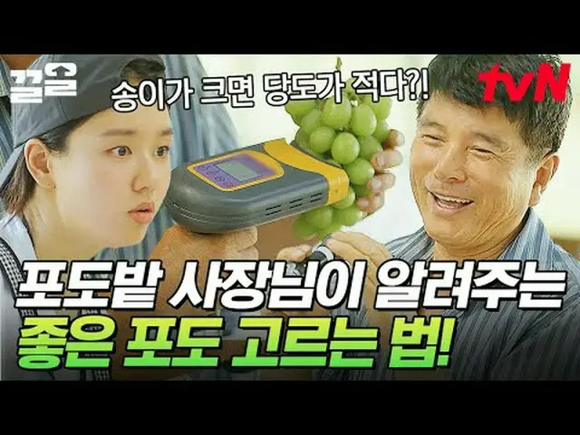 テレビでストリーミング: #tvN #姉妹サンジ直送tvN レジェンドバラエティ引き上げ～アップ↗↗​ #テレビでストリーミング