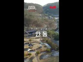 テレビでストリーミング:料理の情熱の根を見つけるために韓国の田舎を見つけたシェフエドワードリーピョン・ヨハン_  コ・アソン_  シン・シア_ 手の味を求めるシ