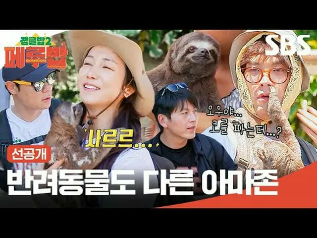 ペットも他のAmazon  #SBS木製芸能 #ジャングルボブ2ペルーバブ #ペルーバブ #ジャングルボブ2 #TheJungleBoB2 #先行公開#リュ・ス