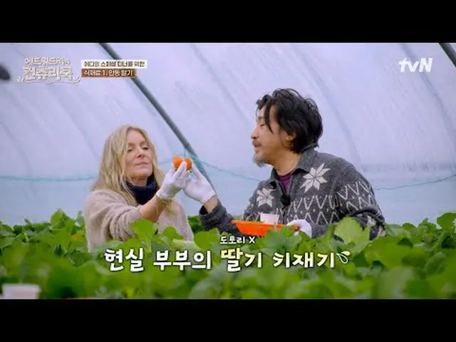 テレビでストリーミング:料理の情熱の根を見つけるために韓国の田舎を見つけたシェフエドワードリーピョン・ヨハン_  コ・アソン_  シン・シア_ 手の味を求めるシ