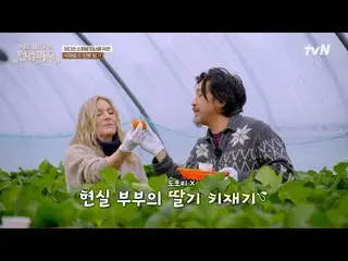 テレビでストリーミング:料理の情熱の根を見つけるために韓国の田舎を見つけたシェフエドワードリーピョン・ヨハン_  コ・アソン_  シン・シア_ 手の味を求めるシ