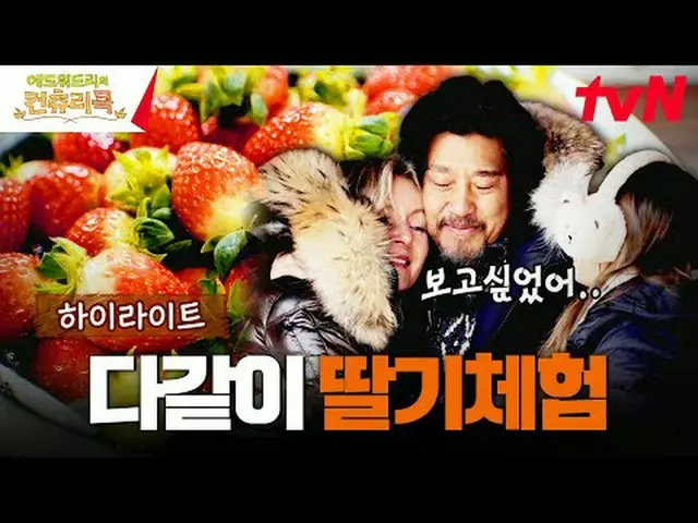 テレビでストリーミング:料理の情熱の根を見つけるために韓国の田舎を見つけたシェフエドワードリーピョン・ヨハン_  コ・アソン_  シン・シア_ 手の味を求めるシ