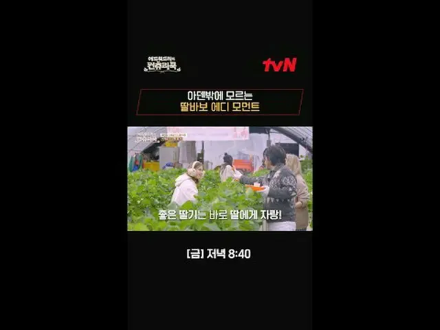テレビでストリーミング:料理の情熱の根を見つけるために韓国の田舎を見つけたシェフエドワードリーピョン・ヨハン_  コ・アソン_  シン・シア_ 手の味を求めるシ