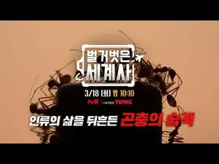 テレビでストリーミング: ＜裸の世界史＞ [火]夜10:10 tvN放送 #裸の世界史 #ウンジウォン(Sechs Kies)_  #キュヒョン #イ・ヘソン#