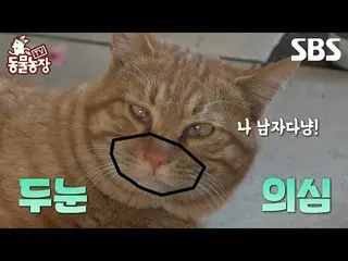 #シン・ドンヨプ #チョン・ソニ(チョン・ソンヒ)_  #トニー・アン(HOT)_  #ジョイ#TV動物農場 #AnimalFarm #予告SBS「テレビ動物農