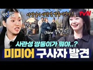 テレビでストリーミング: #シックスセンスシティツアー #ユ・ジェソク_  #ソン・ウンイ #コ・ギョンピョ_  #ミミシックスセンスシティツアーEP.6 SN