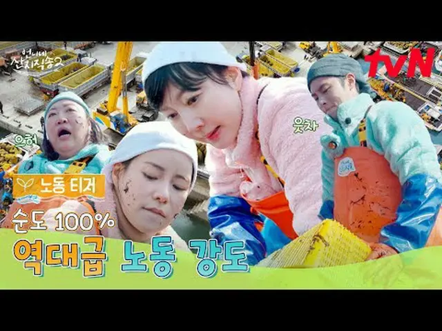 テレビでストリーミング: 【お姉さん産地直送2】 ✔4/13 [日]夕方7:40初放送tvN  #tvN #お姉さんサンジ直送2 #ヨム・ジョンア_  #パク・
