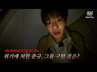 ホラーサバイバルSUMBAKKOKJIL |危機に瀕したジュンギュ、彼を救ったのは？ | Mnet Plus Original 🤡𝑺𝑼𝑴𝑩𝑨𝑲𝑲