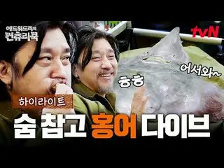 テレビでストリーミング:料理の情熱の根を見つけるために韓国の田舎を見つけたシェフエドワードリーピョン・ヨハン_  コ・アソン_  シン・シア_ 手の味を求めるシ