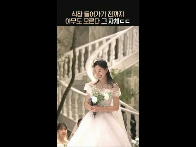 テレビでストリーミング:超高速高効率で完璧な結婚相手に出会える場所〈カップルパレス2〉毎週水曜日夜10時40分本放送#カップルパレス2 #カップル2 #coup