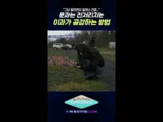 テレビでストリーミング:地球別の中心、地中海で広がるおしゃべりの航海別れの雑誌：地中海✔毎週[月]夜10:10放送| tvN  #別れていない #tvN  #ユ