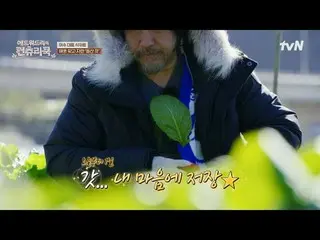 テレビでストリーミング:料理の情熱の根を見つけるために韓国の田舎を見つけたシェフエドワードリーピョン・ヨハン_  コ・アソン_  シン・シア_ 手の味を求めるシ