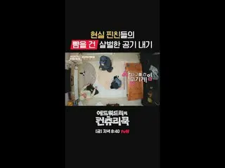 テレビでストリーミング:料理情熱の根を見つけるために韓国の田舎を訪れたシェフ・エドワードリーピョン・ヨハン_  コ・アソン_  シン・シア_ 手の味を求めるシネ