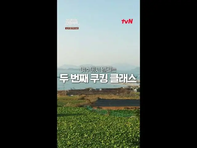 テレビでストリーミング:料理の情熱の根を見つけるために韓国の田舎を見つけたシェフエドワードリーピョン・ヨハン_  コ・アソン_  シン・シア_ 手の味を求めるシ