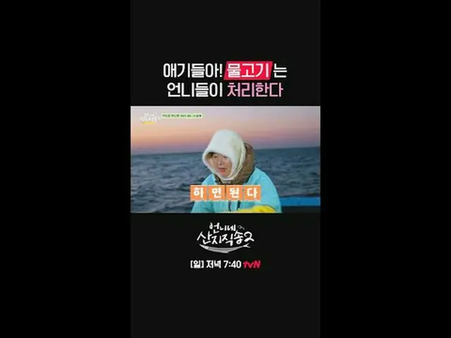 テレビでストリーミング: {姉妹産地直送2} [日]夕方7:40 tvN  #tvN #お姉さんサンジ直送2 #ヨム・ジョンア_  #パク・ジュンミョン_  #