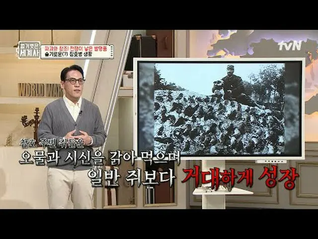テレビでストリーミング: 198回|死が生んだ発明品！戦争はどのように人類の生活を救ったのですか？ 〈裸の世界史〉 [火]夜10時10分tvN放送 #裸の世界史