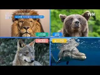 テレビでストリーミング:

ボディサウンドテラーの話を直接聞いて、
さまざまな分野の健康雑誌と話し合う新概念健康知識トークショー

{あなたの声が聞こえます}
