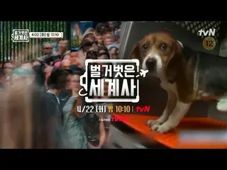 テレビでストリーミング: ＜裸の世界史＞ [火]夜10:10 tvN放送 #裸の世界史 #ウンジウォン(Sechs Kies)_  #キュヒョン #イ・ヘソン#
