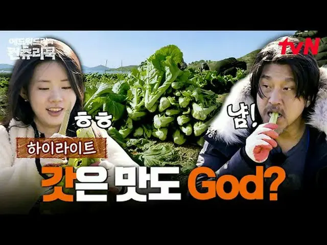 テレビでストリーミング:料理の情熱の根を見つけるために韓国の田舎を見つけたシェフエドワードリーピョン・ヨハン_  コ・アソン_  シン・シア_ 手の味を求めるシ