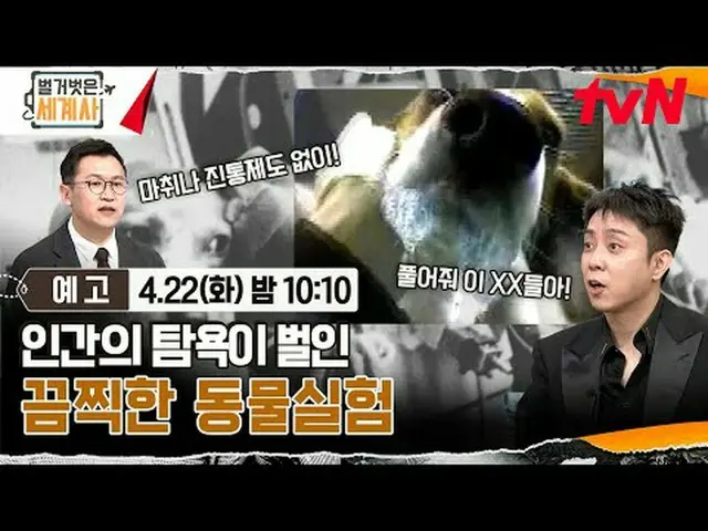 テレビでストリーミング: ＜裸の世界史＞ [火]夜10:10 tvN放送 #裸の世界史 #ウンジウォン(Sechs Kies)_  #キュヒョン #イ・ヘソン#