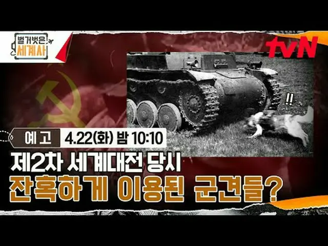 テレビでストリーミング: ＜裸の世界史＞ [火]夜10:10 tvN放送 #裸の世界史 #ウンジウォン(Sechs Kies)_  #キュヒョン #イ・ヘソン#