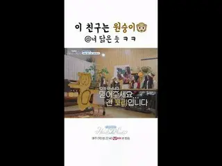 テレビでストリーミング:

 8人8色の魅力でいっぱいのHearts2Hearts_ の初めてのリアリティ！🌈
ファンカスタム人工知能芸能💙Chat Hea