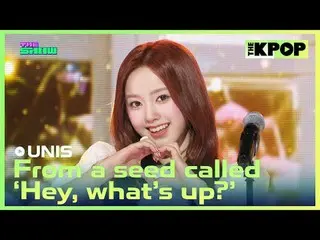 #UNIS_ 、「何してる？」という種子から#UNIS_ _  #From_a_seed_called_Hey_whats_upチャンネルに参加して特典をお楽し