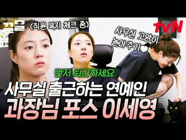 テレビでストリーミング: #tvN #週末使用説明書tvN レジェンドバラエティ引き上げ～アップ↗↗ #テレビでストリーミング