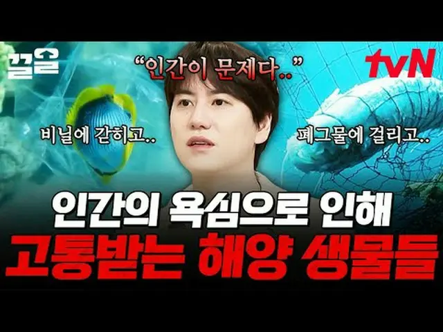 テレビでストリーミング: #tvN #裸の世界史tvN レジェンドバラエティ引き上げ～アップ↗↗ 📚オンタクトストーリーテリング〈裸の世界史〉毎週[火]夕方1