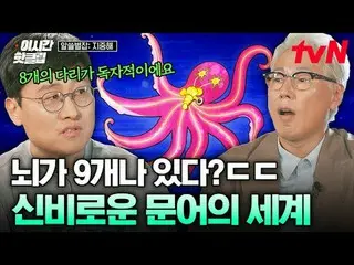 テレビでストリーミング:

 #tvN
 YouTubeで素早く見るホットな映像！  #2時間ホットクリップ

地球別の中心、地中海で広がるおしゃべりの航海
〈
