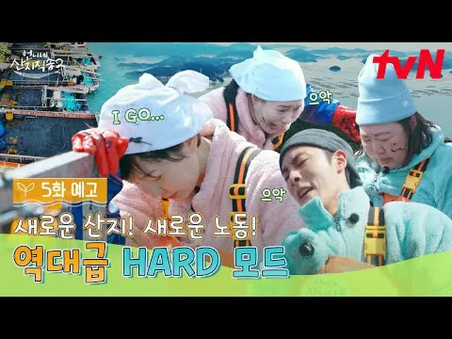 テレビでストリーミング: 【お姉さん産地直送2】 ✔[日]夕方7:40 tvN  #tvN #お姉さんサンジ直送2 #ヨム・ジョンア_  #パク・ジュンミョン_