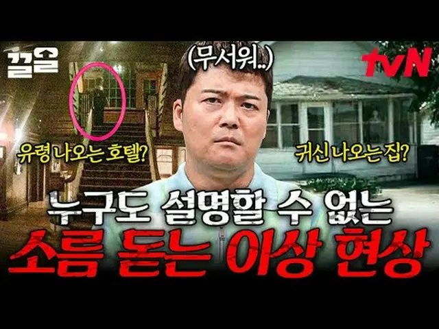 テレビでストリーミング: #tvN #フリーハン19 tvN レジェンドバラエティ引き上げ～アップ↗↗無料19 free19専務後無限スクープランキング🔍毎週