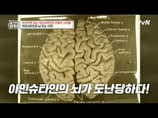 テレビでストリーミング:

 202回|偉人戦で知らされていないアインシュタインの秘密の私生活

〈裸の世界史〉
 [火]夜10時10分tvN放送

 #裸の世