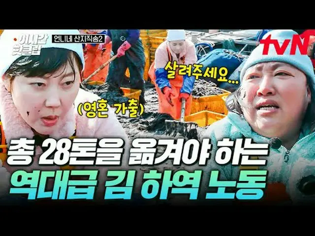 テレビでストリーミング:  #tvN #お姉さんサンジ直送2 YouTubeで素早く見るホットな映像！  #2時間ホットクリップ歴代級の一通りとおいしい旬の食材