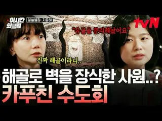 テレビでストリーミング: #tvN YouTubeで素早く見るホットな映像！  #2時間ホットクリップ地球別の中心、地中海で広がるおしゃべりの航海〈知っている別