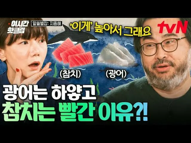 テレビでストリーミング: #tvN YouTubeで素早く見るホットな映像！  #2時間ホットクリップ地球別の中心、地中海で広がるおしゃべりの航海〈知っている別