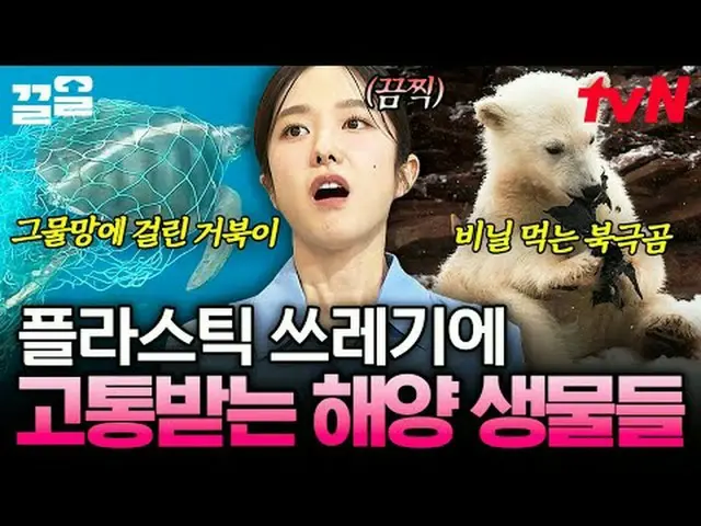 テレビでストリーミング: #tvN #裸の世界史tvN レジェンドバラエティ引き上げ～アップ↗↗ 📚オンタクトストーリーテリング〈裸の世界史〉毎週[火]夕方1