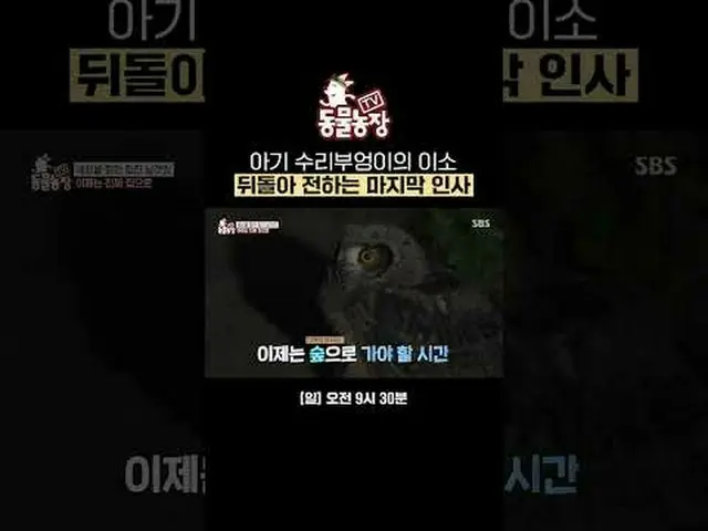 赤ちゃん修理フクロウのイソを振り返る最後の挨拶 #シン・ドンヨプ #チョン・ソニ(チョン・ソンヒ)_  #トニー・アン(HOT)_  #ジョイ#SBS教養 #T