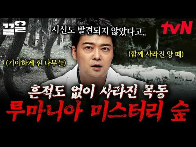 テレビでストリーミング: #tvN #フリーハン19 tvN レジェンドバラエティ引き上げ～アップ↗↗無料19 free19専務後無限スクープランキング🔍毎週