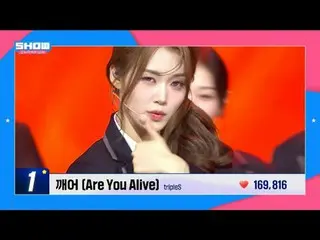#SHOW CHAMPION_ ピオン #アイドルチャンプ #STAGE_CHAM_ _ PION

 100%_ _ ファンの投票で最高のSHOW CHAMP