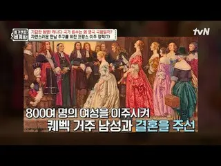 テレビでストリーミング:

 205回|奇妙な同盟！カナダの国家敵はなぜ英国王なのか？

 〈裸の世界史〉
 [火]夜10時10分tvN放送

 #裸の世界史 
