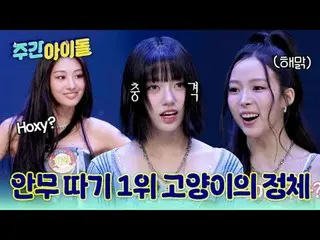 ▶完全に変わった＜週刊アイドル＞の初ゲスト！万能猫MEOVV_ _ が出た♥︎ ▶ ＜ 週刊アイドル ＞ MEOVV_ _ 、できないものがないミャンガーたちの