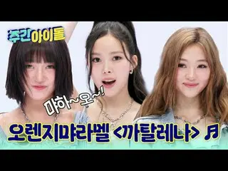 ▶完全に変わった＜週刊アイドル＞の初ゲスト！万能猫MEOVV_ _ が出た♥ ▶ ＜ 週刊アイドル ＞ MEOVV_ _ 、できないものがないミャンガーたちの魅