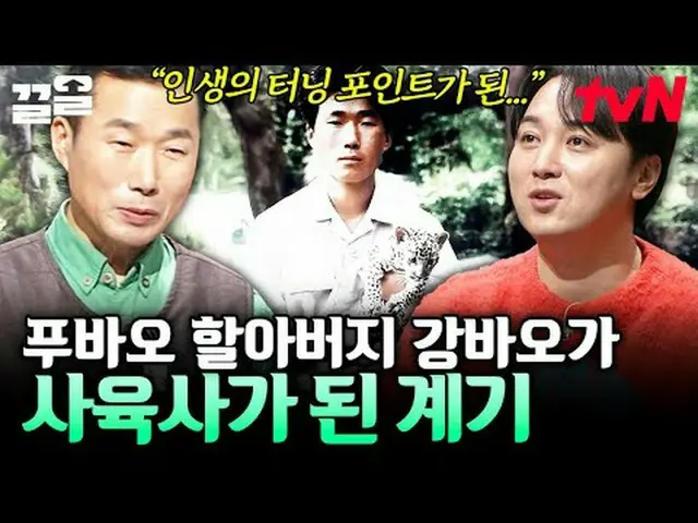 テレビでストリーミング: #tvN #たぶん大人tvN レジェンドバラエティ引き上げ～アップ↗↗ #テレビでストリーミング