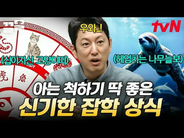 テレビでストリーミング:無料19 free19専務後無限スクープランキング🔍毎週(月)夜9時50分tvN SHOW・(火)夕方7時30分tvN放送#tvN #