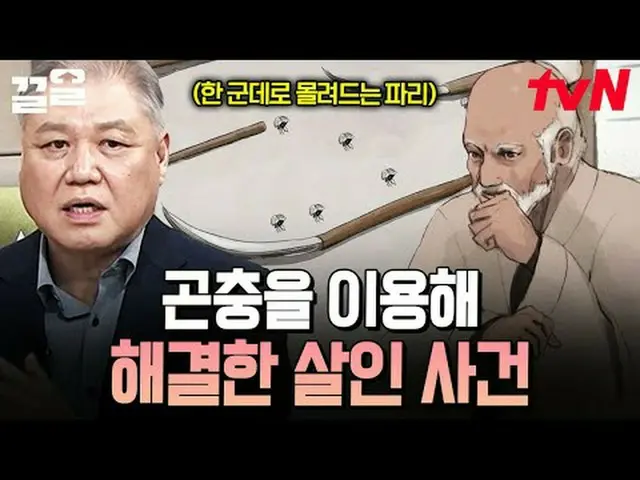 テレビでストリーミング: #tvN #裸の世界史tvN レジェンドバラエティ引き上げ～アップ↗↗ 📚オンタクトストーリーテリング〈裸の世界史〉毎週[火]夕方1