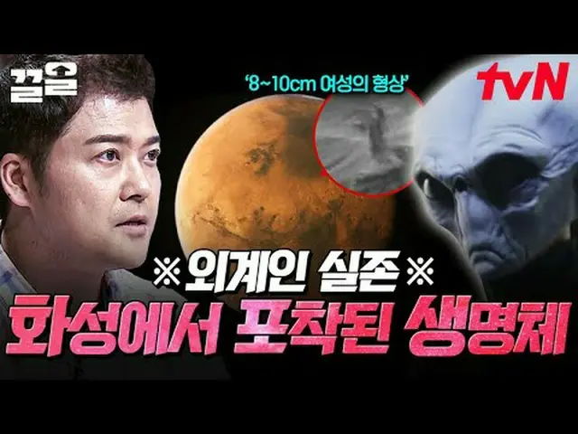 テレビでストリーミング: #tvN #フリーハン19 tvN レジェンドバラエティ引き上げ～アップ↗↗無料19 free19専務後無限スクープランキング🔍毎週