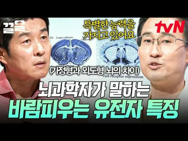 テレビでストリーミング: #tvN #たぶん大人tvN レジェンドバラエティ引き上げ～アップ↗↗ #テレビでストリーミング