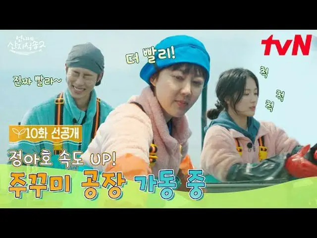 テレビでストリーミング: 【お姉さん産地直送2】 ✔[日]夕方7:40 tvN #tvN #お姉ちゃん産地直送2 #ヨム・ジョンア_  #パク・ジュンミョン_ 