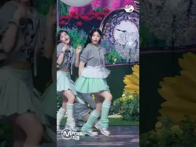 借りた猫ウォンヒあまりにもかわいいです